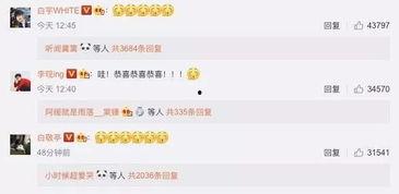 搜狐娱乐爆料邮件是什么,揭秘明星幕后故事