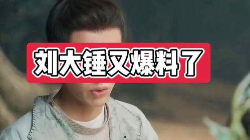 刘大锤爆料男仆视频,男仆视频背后的真实故事
