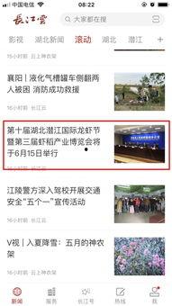 湖北新闻爆料投诉,投诉事件引发社会关注