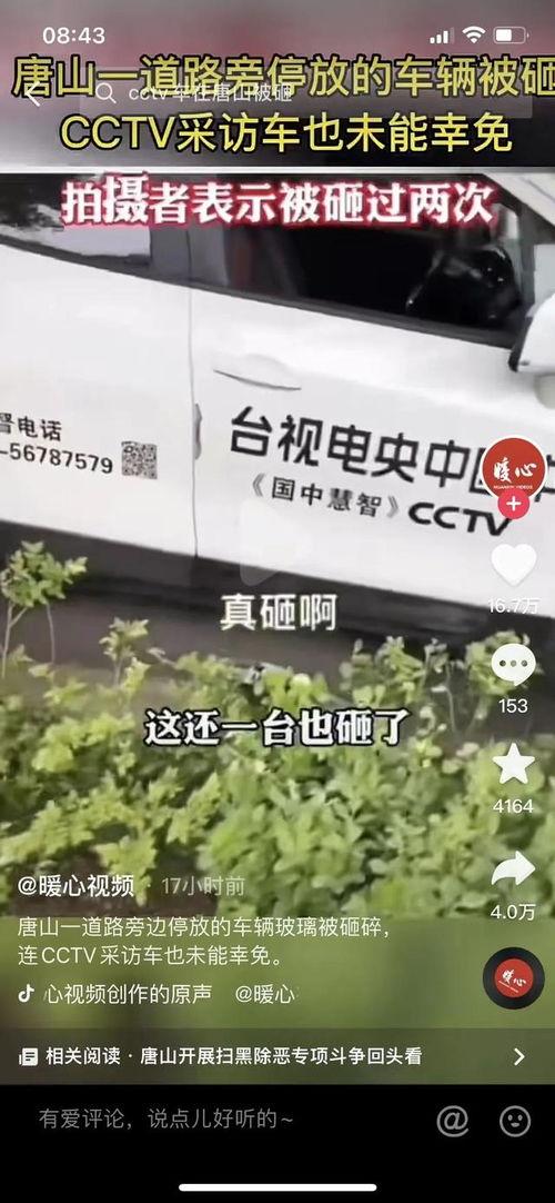 爆料唐山视频大全下载,揭秘火爆网络事件幕后真相