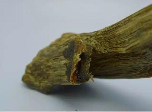 沉香吃瓜爆料视频大全,沉香吃瓜爆料视频大全精彩回顾 第2张 沉香吃瓜爆料视频大全,沉香吃瓜爆料视频大全精彩回顾 第2张