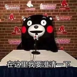 辛巴爆料米菲事件真相视频,内幕大揭秘 第3张 辛巴爆料米菲事件真相视频,内幕大揭秘 第3张