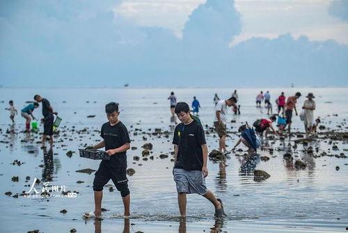 海南赶海爆料事件始末视频,揭秘始末与公众反响  第2张