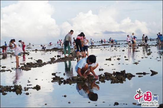 海南赶海爆料事件始末视频,揭秘始末与公众反响  第3张
