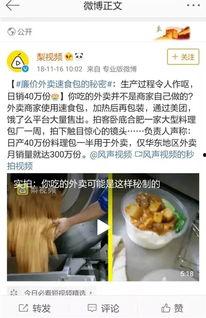 料理猫爆料视频播放网站,热门视频播放网站幕后故事  第1张