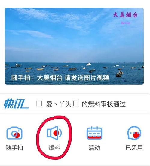 搜索小程序爆料视频,最新爆料视频深度解析 第2张 搜索小程序爆料视频,最新爆料视频深度解析 第2张