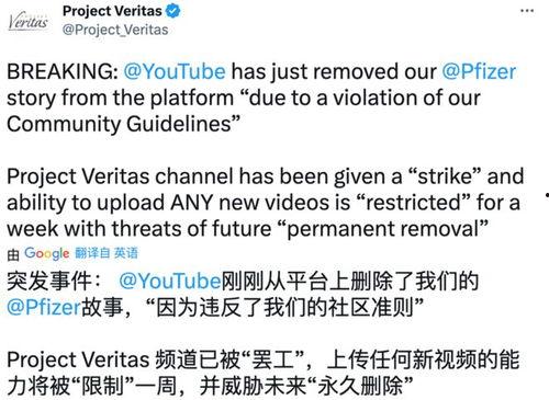 辉瑞最新爆料新闻报道,揭秘疫苗研发过程中的关键细节 第3张 辉瑞最新爆料新闻报道,揭秘疫苗研发过程中的关键细节 第3张