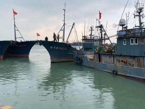爆料渔船视频播放大全最新,海上捕捞瞬间大盘点 第2张 爆料渔船视频播放大全最新,海上捕捞瞬间大盘点 第2张