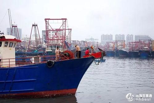 爆料渔船视频播放大全最新,海上捕捞瞬间大盘点 第3张 爆料渔船视频播放大全最新,海上捕捞瞬间大盘点 第3张