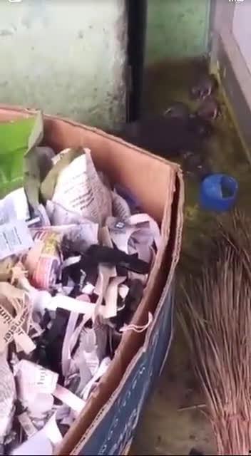 最新老鼠爆料新闻视频播放,揭秘娱乐圈惊人内幕 第3张 最新老鼠爆料新闻视频播放,揭秘娱乐圈惊人内幕 第3张