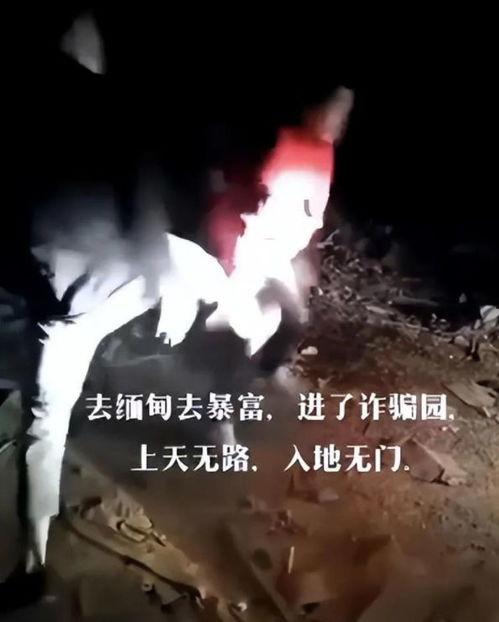 爆料缅北高清视频,震撼现场直击真相