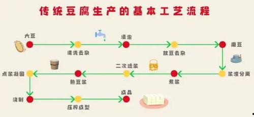 土豆豆爆料科普知识视频,科普知识视频中的趣味科学 第2张 土豆豆爆料科普知识视频,科普知识视频中的趣味科学 第2张