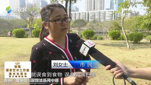 爆料网红记者视频大全,视频大全背后的真相与内幕